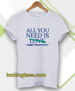 All You Need Is Sweet Tight Pussy T-shirt