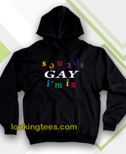 SOUND gay i'm in hoodie