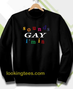 SOUND gay i'm in sweatshirt