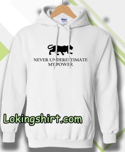 Never Underestimate My Power Hoodie