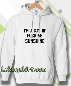 im a ray of fucking sunshine Hoodie