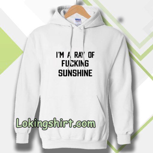 im a ray of fucking sunshine Hoodie